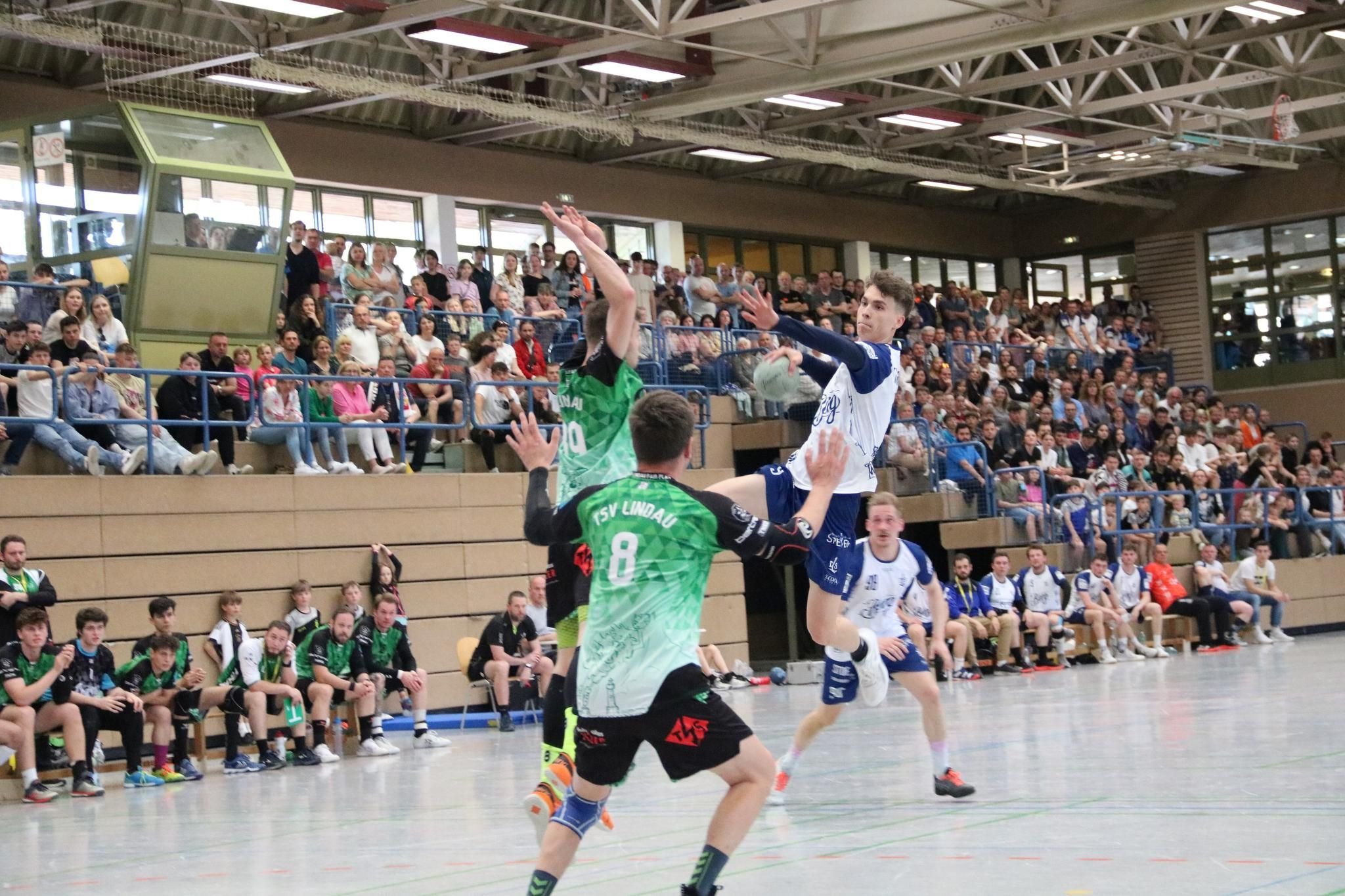Laichinger Handballer scheitern in der Relegation