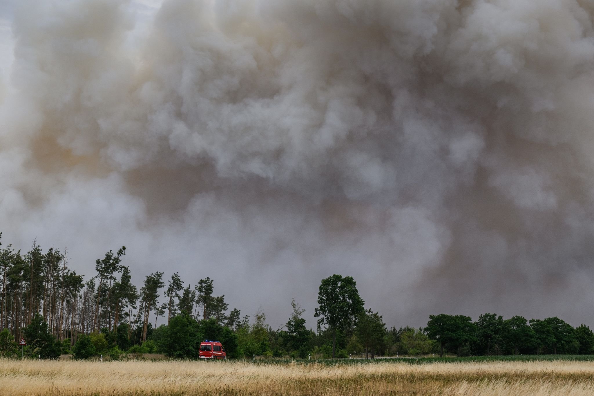 Mehrere Waldbrände: Seit Saisonbeginn 40 Feuer