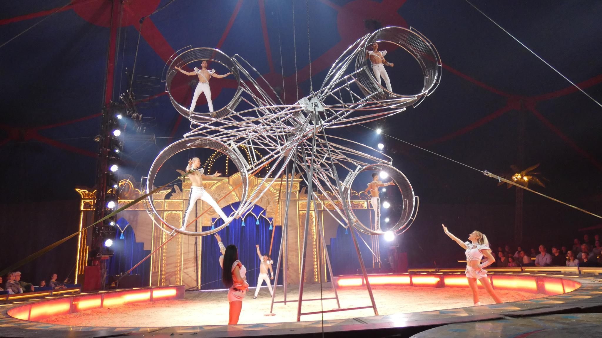 So war die Premiere des Zirkus Krone in Biberach
