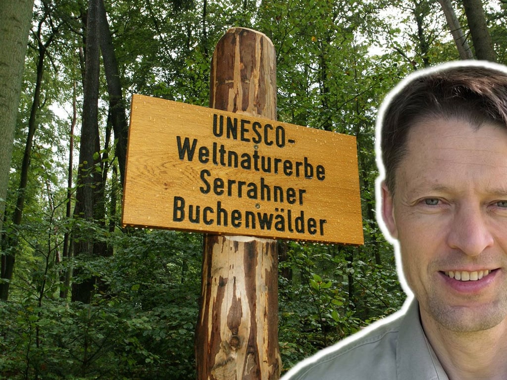 Neuer Chef äußert sich zur Zukunft des Müritz–Nationalparks