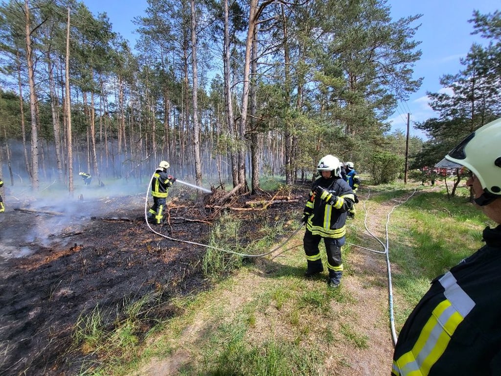 Waldbrand in Vorpommern – mehrere Feuerwehren im Löscheinsatz