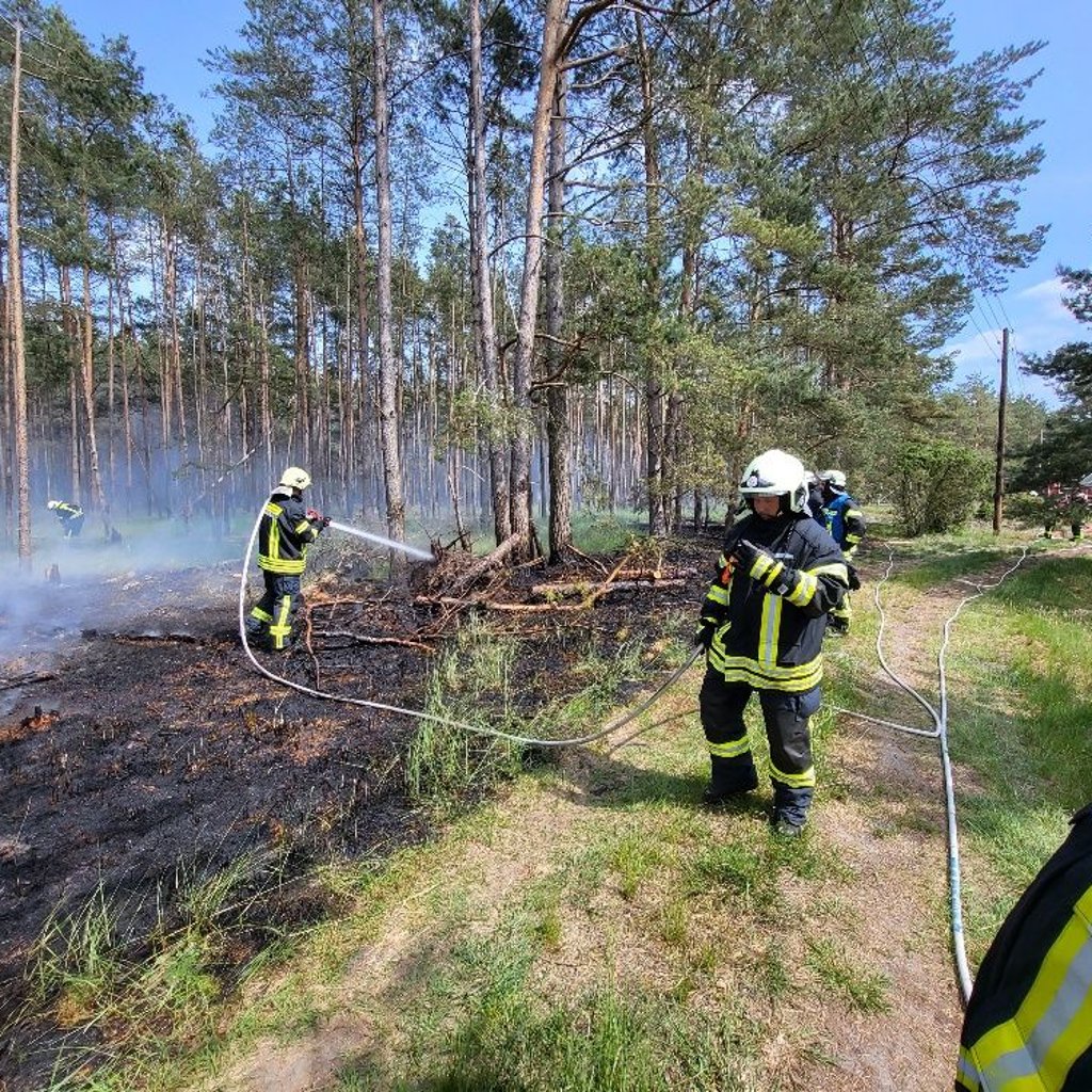 Waldbrand in Vorpommern – mehrere Feuerwehren im Löscheinsatz
