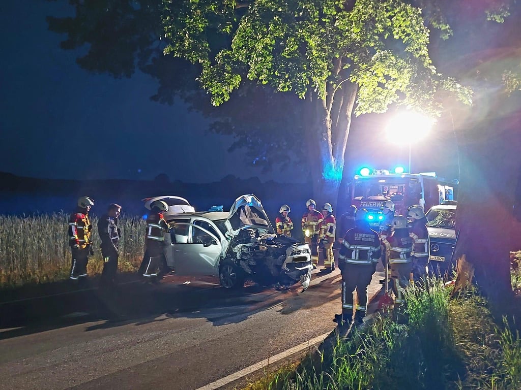 Autofahrer prallt bei Wesenberg gegen Alleebaum