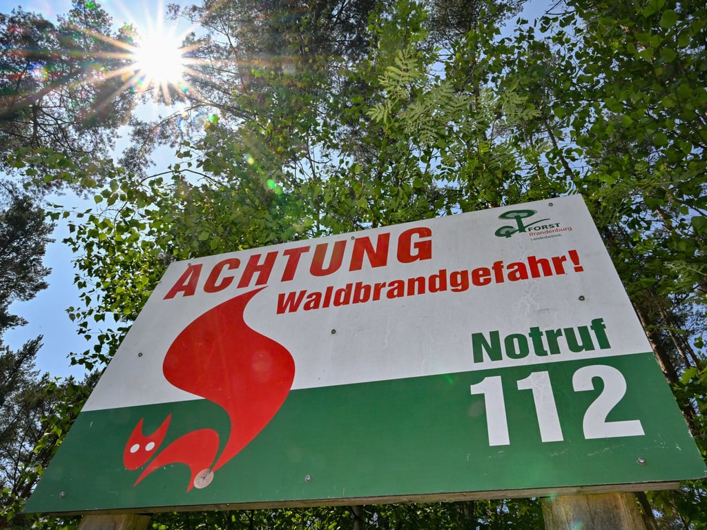 Trockenheit erhöht die Waldbrandgefahr