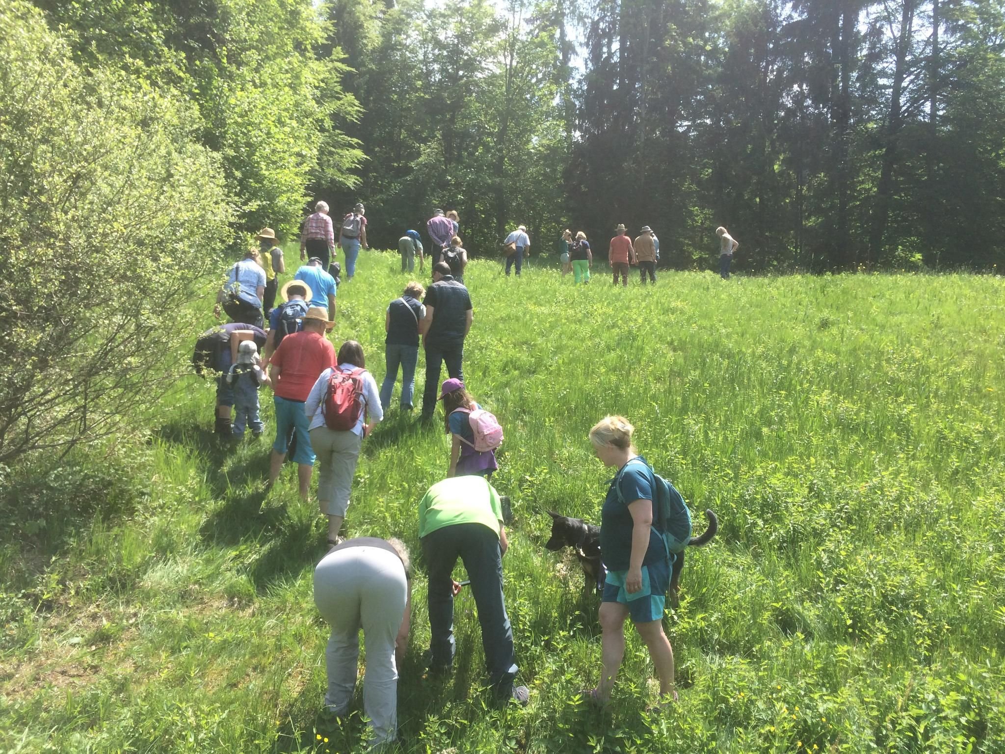 Hangquellmoor der Stiftung Wilde Argen stößt auf Interesse
