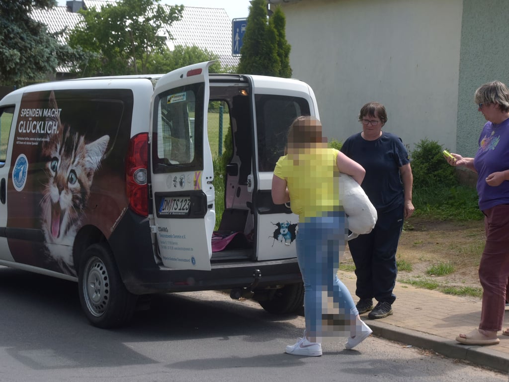 Ordnungsamt beschlagnahmt Hunde bei Neubrandenburg