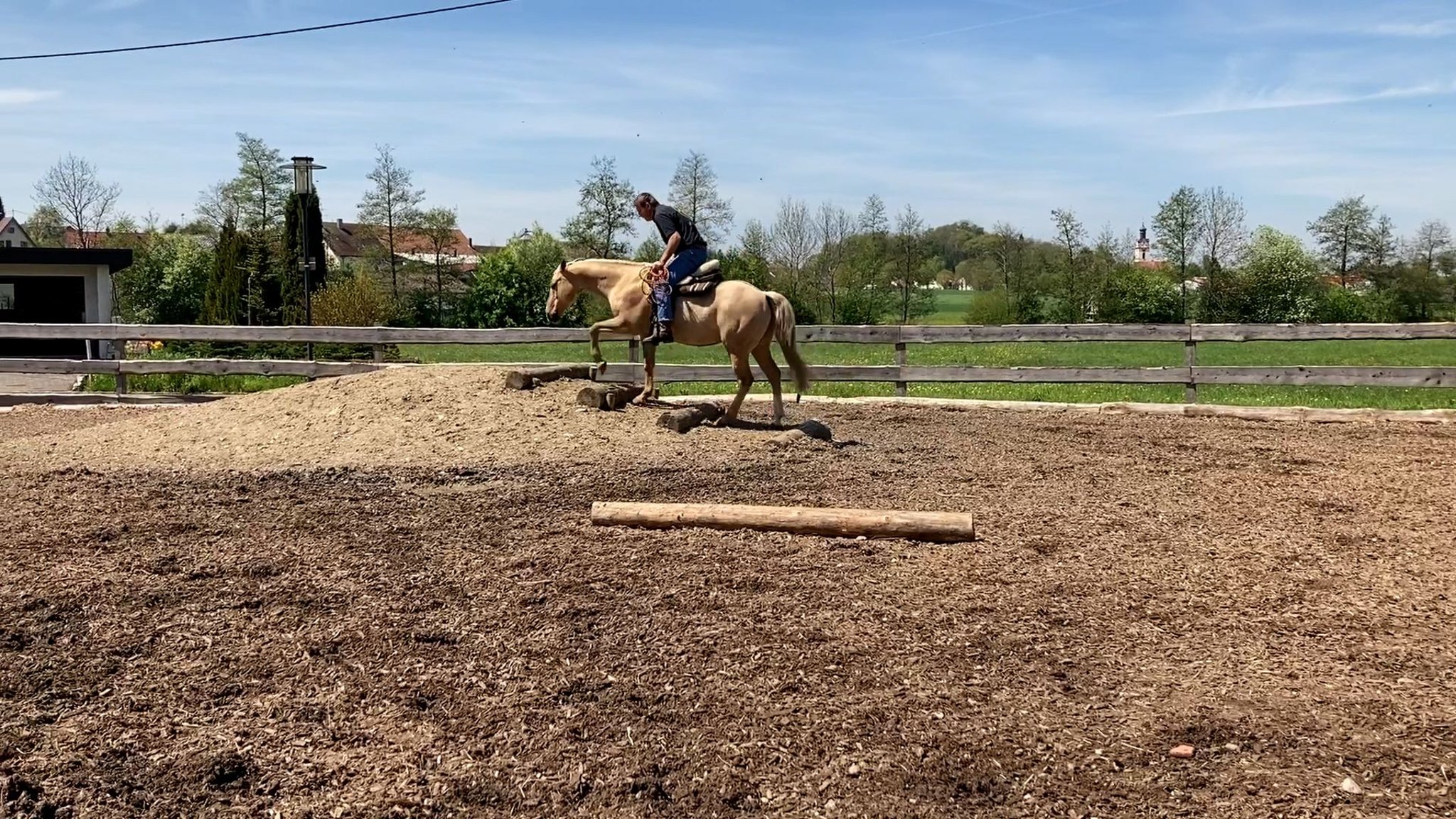 Pferdefreundliches Reiten So funktioniert RAIReiten in Oberstadion