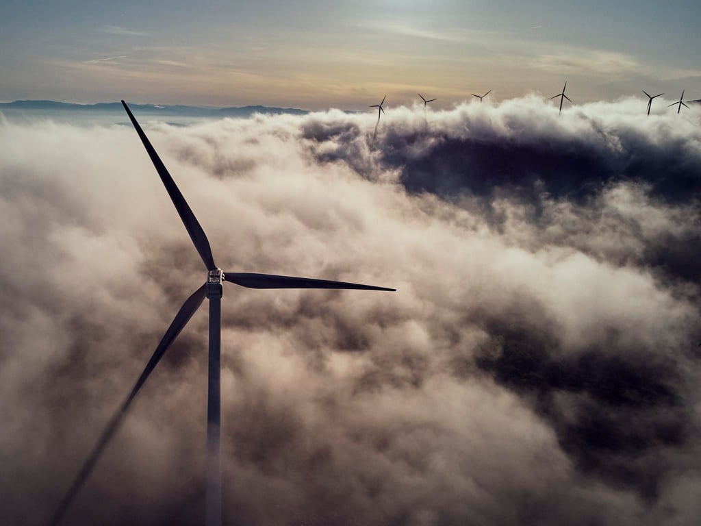 Zwei Vereine arbeiten gemeinsam gegen Windkraft im Altdorfer Wald