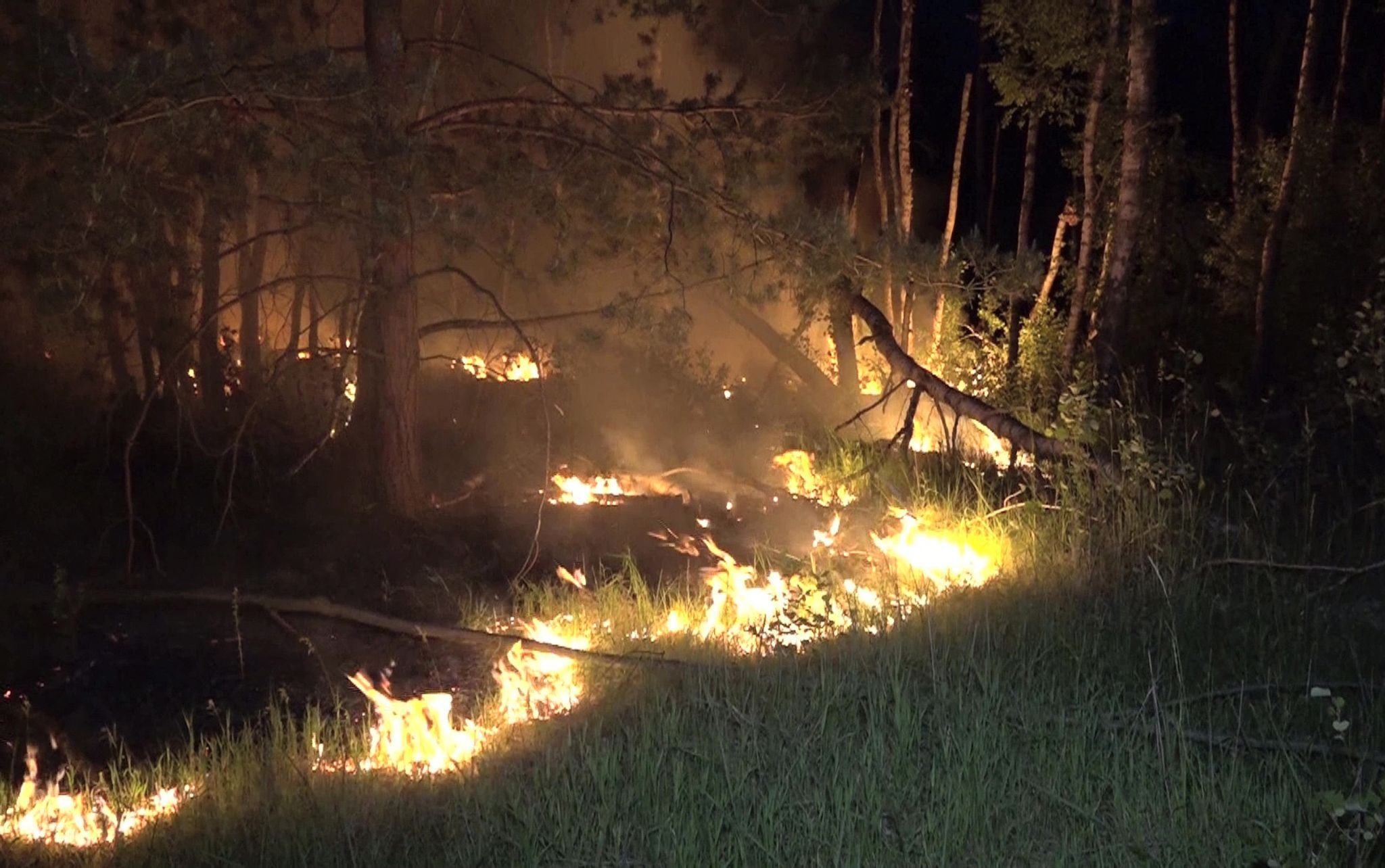 Waldbrand bei Jüterbog vergrößert sich