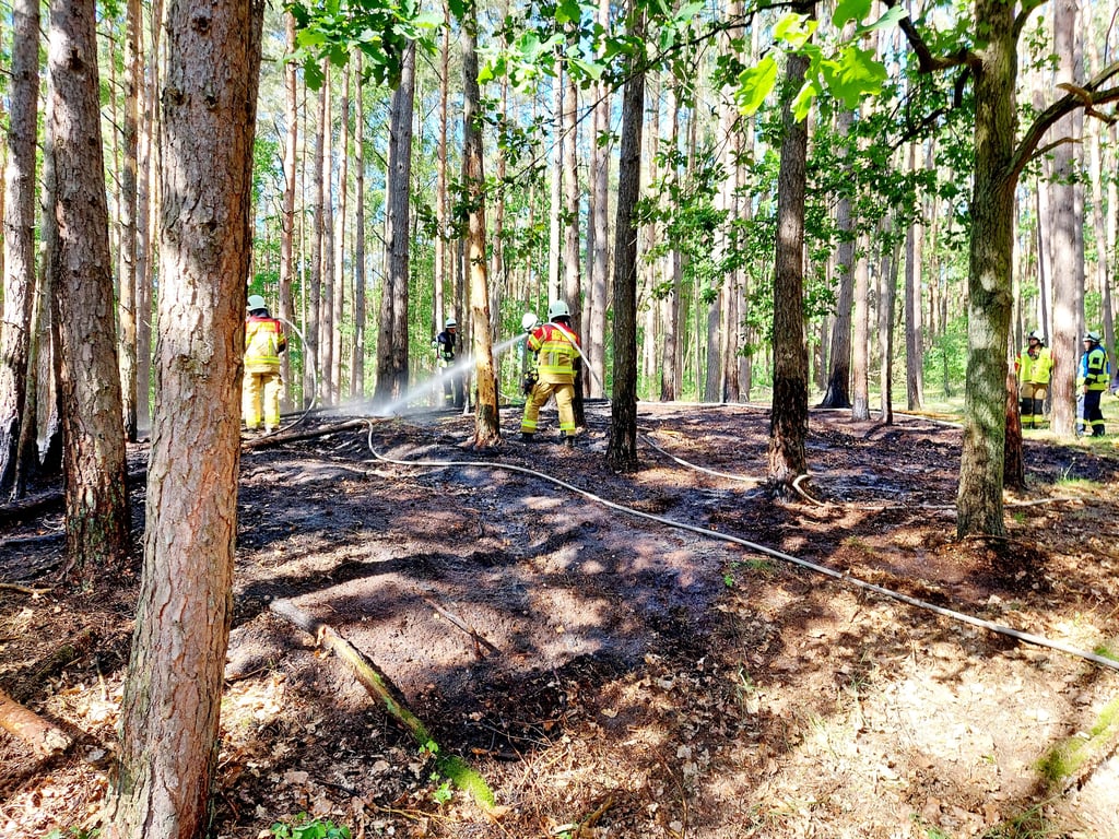 Höchste Waldbrandgefahr in Teilen der Seenplatte