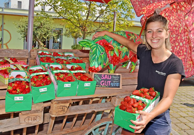 Erdbeeren vom Bodensee: Obstbauern sind zufrieden mit Ernte 2023