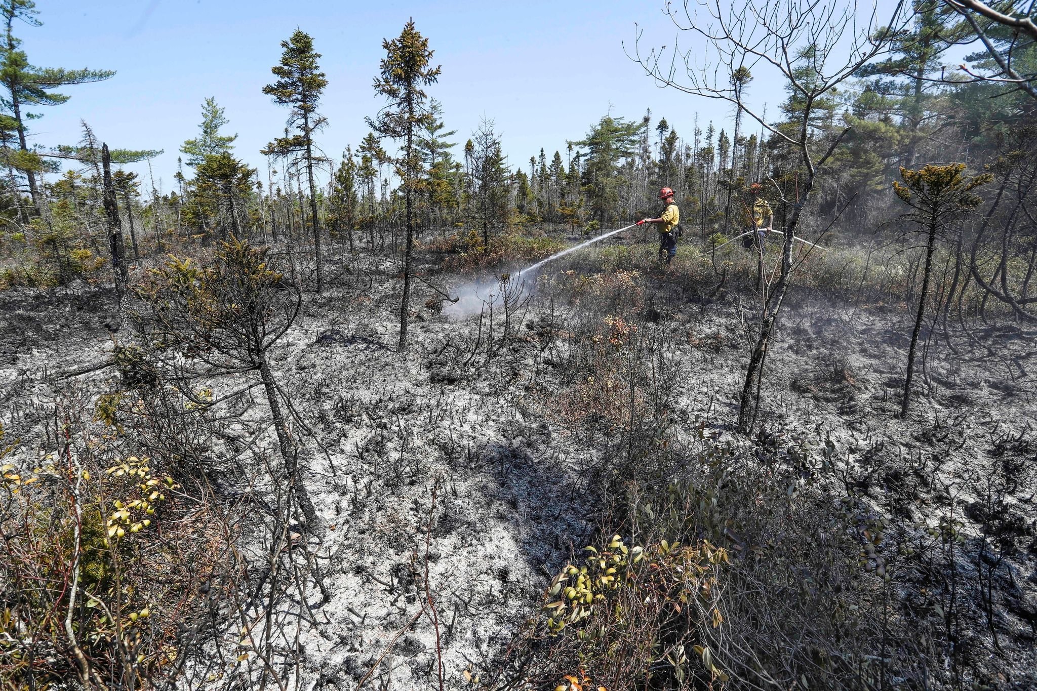 Lage in kanadischen Waldbrand–Gebieten entspannt sich leicht