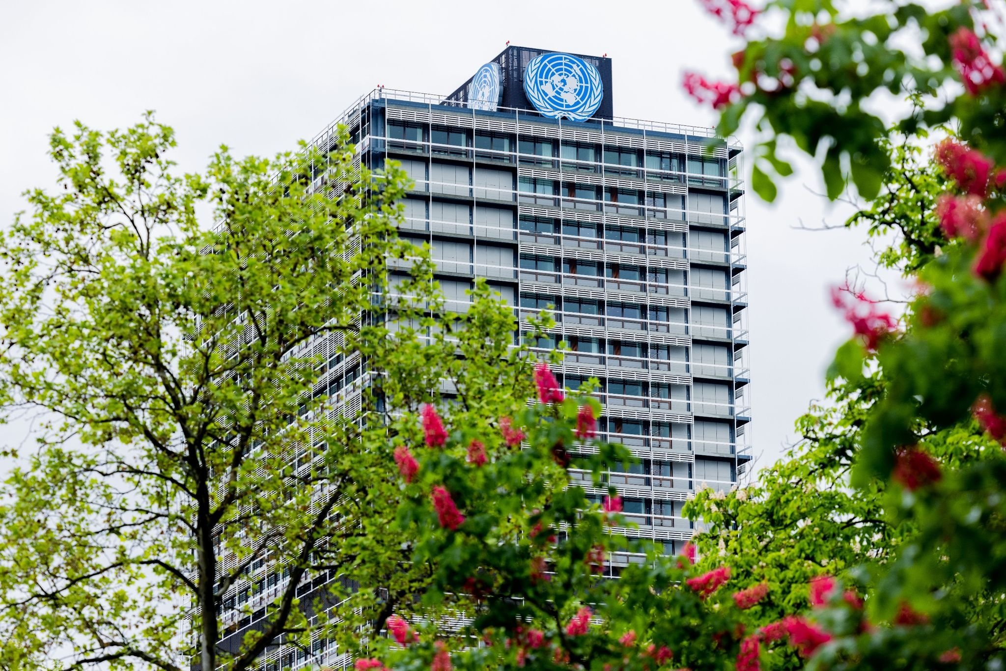 Zwischenverhandlungen für Weltklimakonferenz starten in Bonn