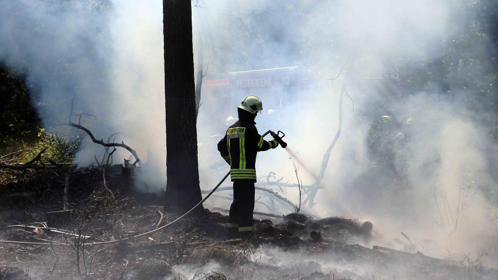 ▶ Feuerwehr verhindert Waldbrand bei Ludwigslust