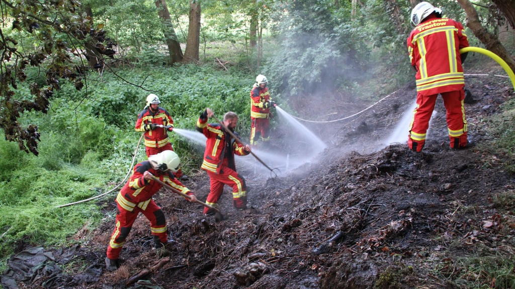 Vorgeschmack auf die Waldbrandsaison in Vorpommern