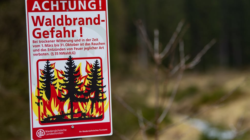 Polizei ermittelt nach Waldbrand auf Usedom