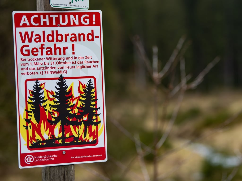Polizei ermittelt nach Waldbrand auf Usedom
