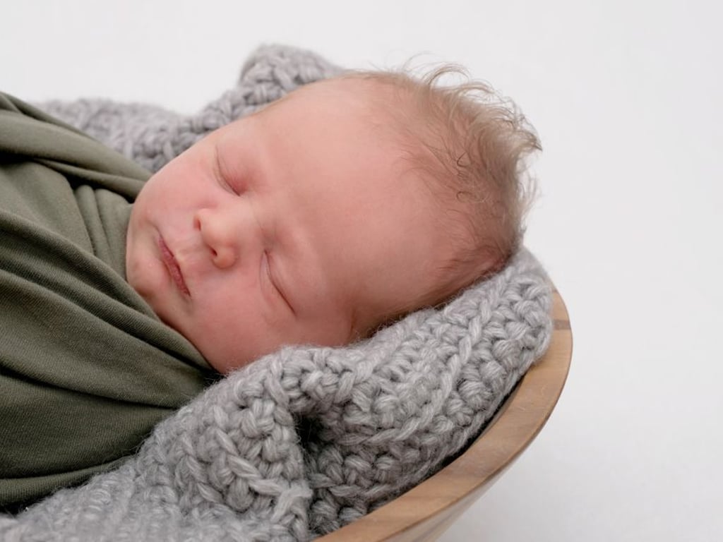 Fünf neue Babys für Vorpommern und die Uckermark