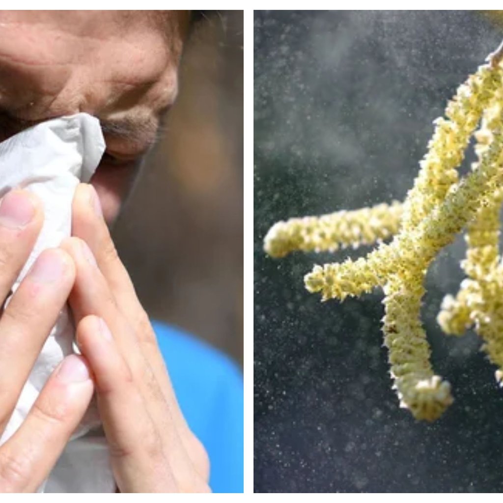Halsweh, Schnupfen, brennende Augen: 7 wichtige Infos zu Pollenallergie
