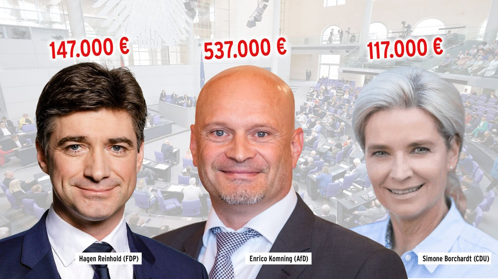 Die Top-Nebenverdiener aus MV im Bundestag
