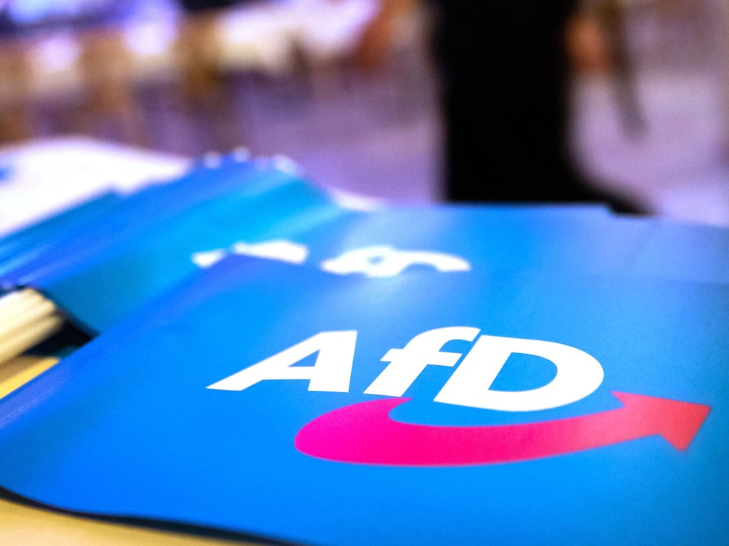 AfD-Mitarbeiter nach sexuell übergriffigem Verhalten entlassen
