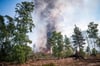 Waldbrandgefahr ist in der Region hoch