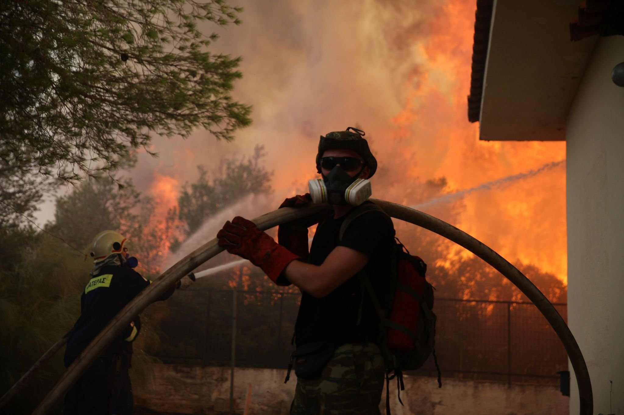 Фото пожар в лесу пожар