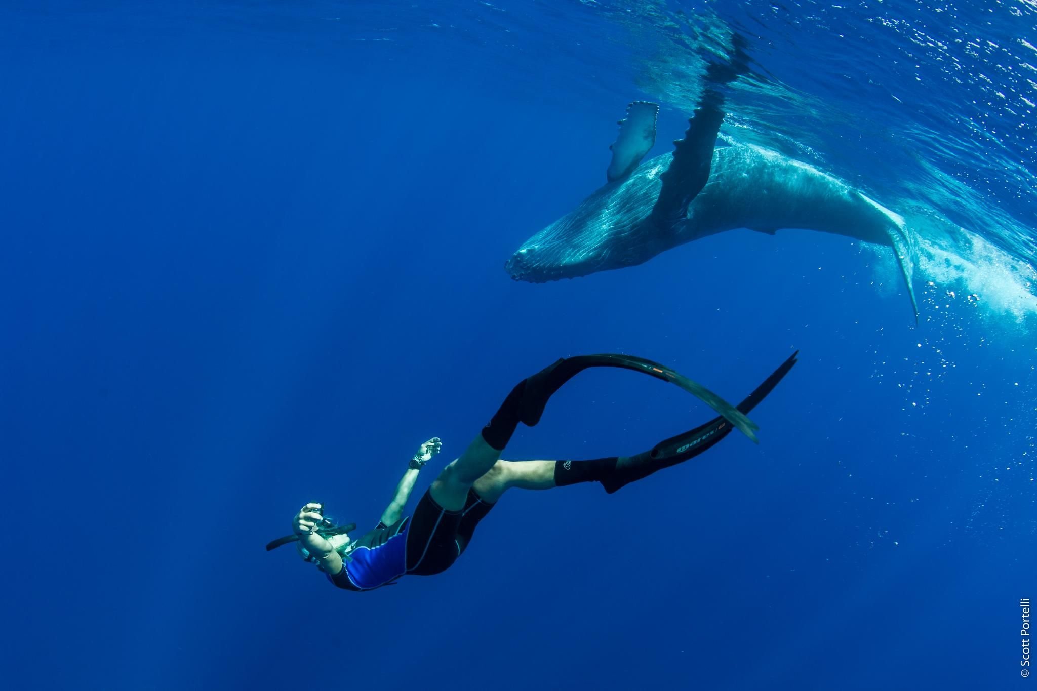 Exciting Blend of Adventure: European Outdoor Film Tour and Ocean Film Tour Debut on Gammertinger Schlossplatz