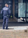 Storch verbringt eine Nacht in Polizei-Arrest