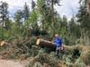 Bäume brechen wie Streichhölzer: Waldbesitzer über die Folgen des Sturms