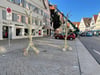 Für einen autofreien Marktplatz: Protestbäume besetzen Parkplätze