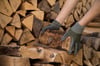 Brennholzpreise bereiten Ofen-Besitzern Sorgen: Tipps aus der Region