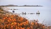 Ausflüge im Herbst: Ostsee trotz Schmuddelwetter