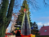 Warum bei diesem Weihnachtsbaum in Vorpommern die Feuerwehr helfen musste