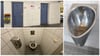 Eklig: Schwäbische.de testet öffentliche Toiletten in der Region