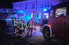 40 Feuerwehrleute in Vorpommern im Einsatz – wegen eines Insekts?