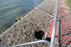 Großes Loch am Ufer zeigt, wie sanierungsbedürftig das Häfler Strandbad ist