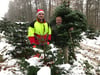 Die Suche nach dem schönsten Weihnachtsbaum – Besucher-Ansturm im Wald