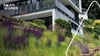 Hanggarten gestalten: clevere und pflegeleichte Naturarchitektur für dein Zuhause