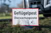 Vogelgrippe erneut auf Insel Rügen ausgebrochen